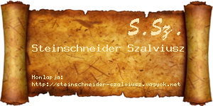 Steinschneider Szalviusz névjegykártya